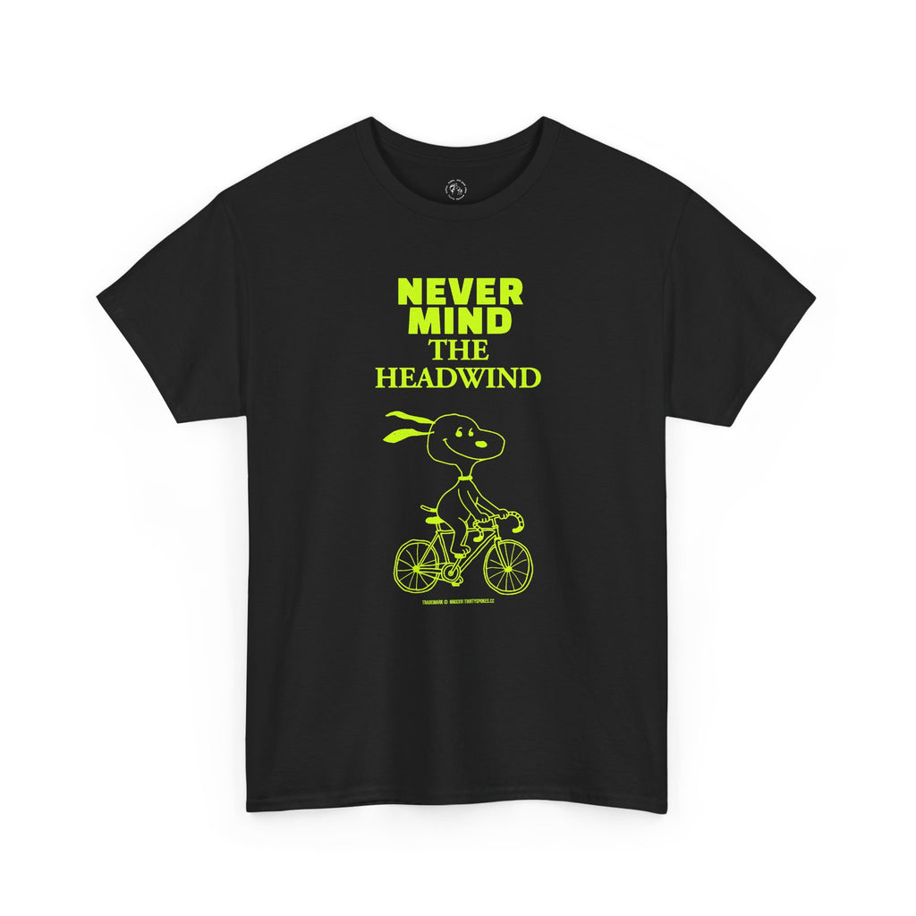Never Mind The Headwind