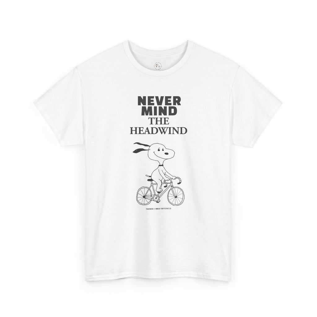 Never Mind The Headwind