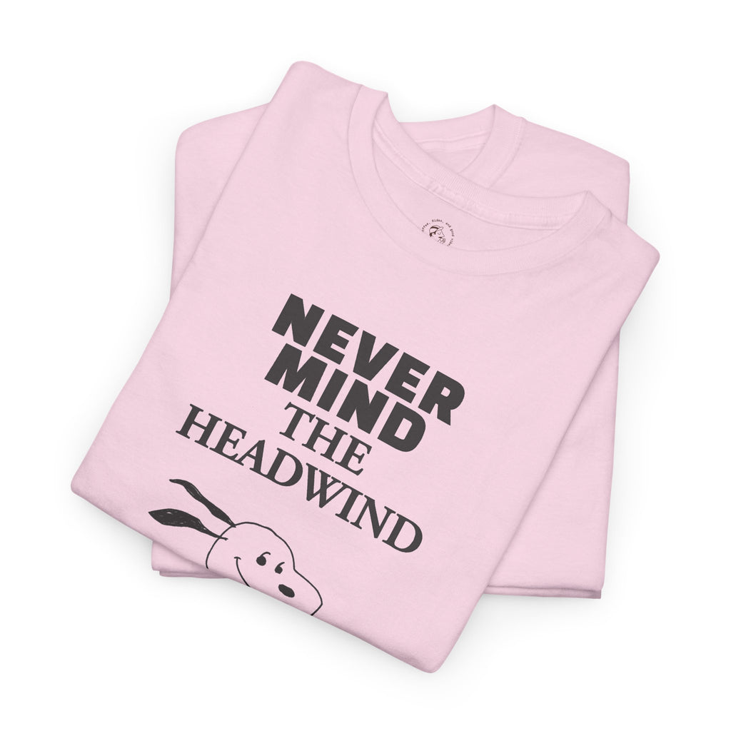 Never Mind The Headwind