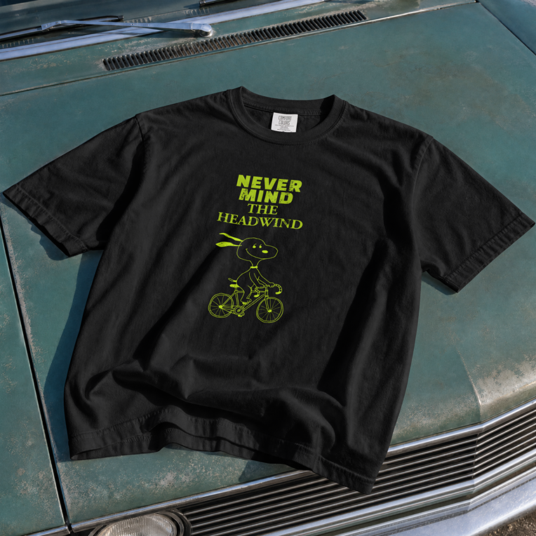 Never Mind The Headwind