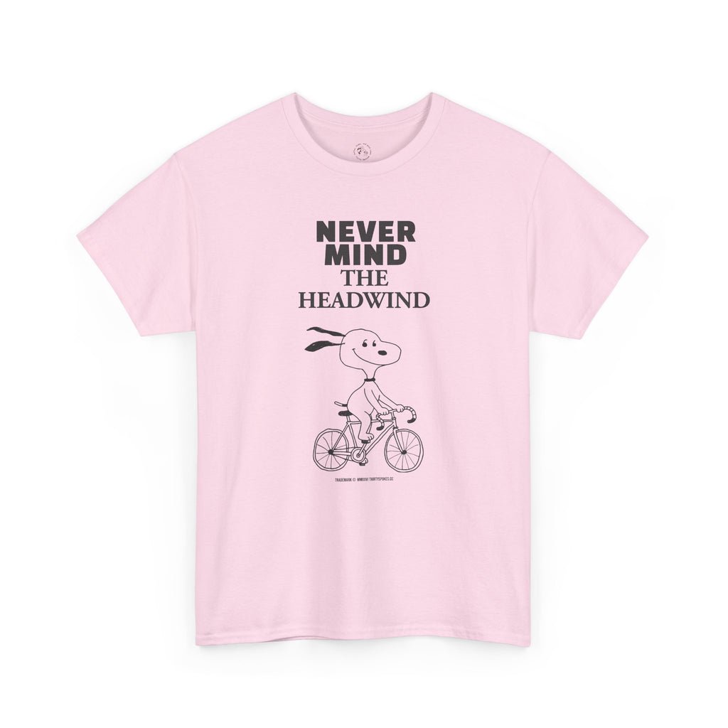 Never Mind The Headwind